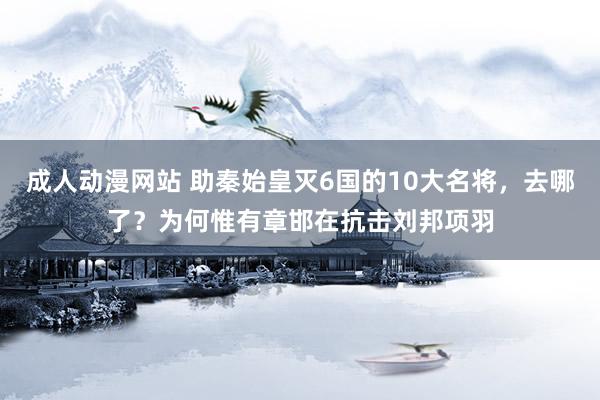 成人动漫网站 助秦始皇灭6国的10大名将，去哪了？为何惟有章邯在抗击刘邦项羽