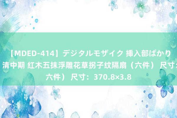 【MDED-414】デジタルモザイク 挿入部ばかり集めました2 清中期 红木五抹浮雕花草拐子纹隔扇（六件） 尺寸：370.8×3.8