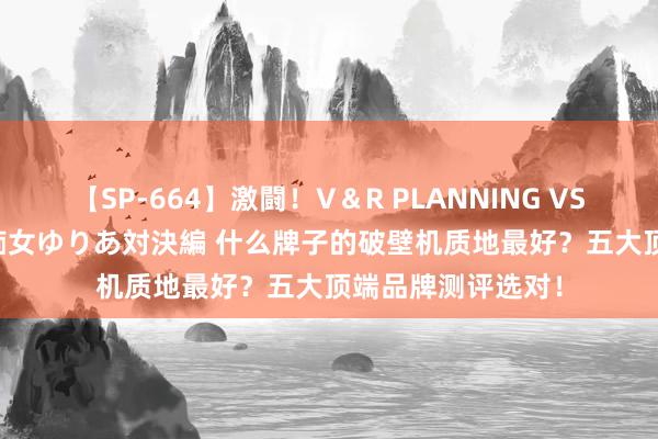 【SP-664】激闘！V＆R PLANNING VS MOODYZ 淫乱痴女ゆりあ対決編 什么牌子的破壁机质地最好？五大顶端品牌测评选对！