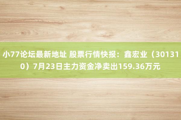 小77论坛最新地址 股票行情快报：鑫宏业（301310）7月23日主力资金净卖出159.36万元