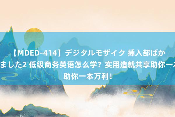 【MDED-414】デジタルモザイク 挿入部ばかり集めました2 低级商务英语怎么学？实用造就共享助你一本万利！