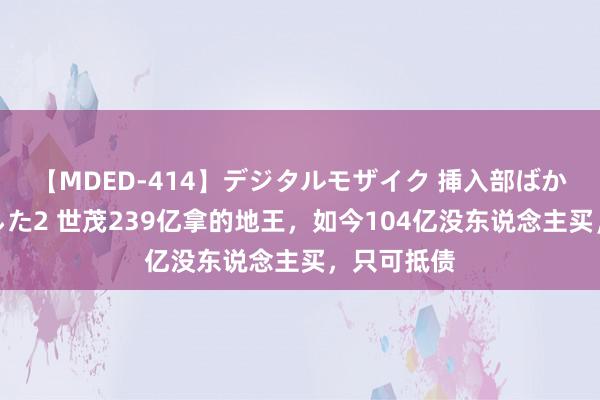 【MDED-414】デジタルモザイク 挿入部ばかり集めました2 世茂239亿拿的地王，如今104亿没东说念主买，只可抵债