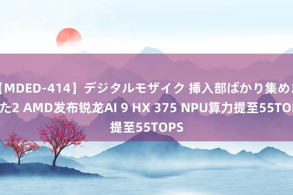 【MDED-414】デジタルモザイク 挿入部ばかり集めました2 AMD发布锐龙AI 9 HX 375 NPU算力提至55TOPS