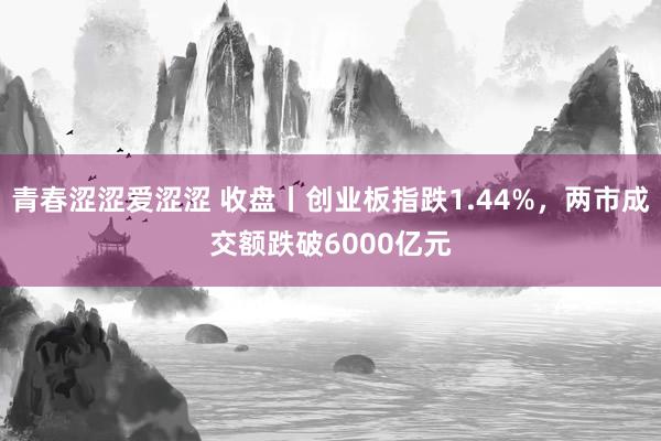 青春涩涩爱涩涩 收盘丨创业板指跌1.44%，两市成交额跌破6000亿元