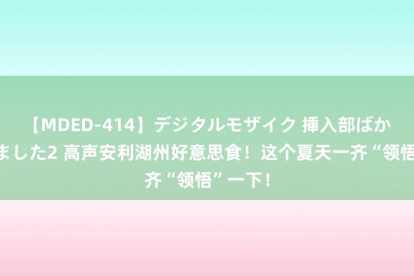 【MDED-414】デジタルモザイク 挿入部ばかり集めました2 高声安利湖州好意思食！这个夏天一齐“领悟”一下！