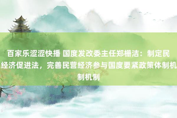 百家乐涩涩快播 国度发改委主任郑栅洁：制定民营经济促进法，完善民营经济参与国度要紧政策体制机制