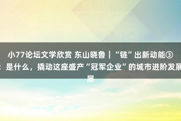 小77论坛文学欣赏 东山晓鲁｜“链”出新动能③：是什么，撬动这座盛产“冠军企业”的城市进阶发展