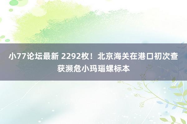 小77论坛最新 2292枚！北京海关在港口初次查获濒危小玛瑙螺标本