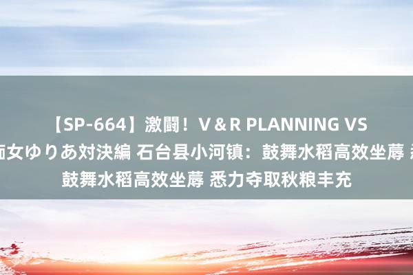 【SP-664】激闘！V＆R PLANNING VS MOODYZ 淫乱痴女ゆりあ対決編 石台县小河镇：鼓舞水稻高效坐蓐 悉力夺取秋粮丰充