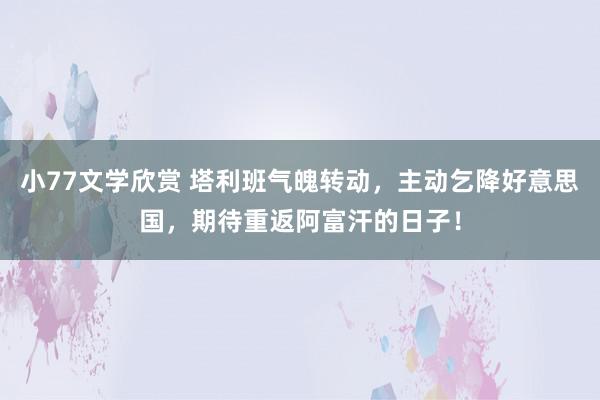 小77文学欣赏 塔利班气魄转动，主动乞降好意思国，期待重返阿富汗的日子！