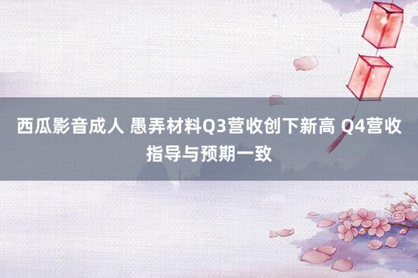 西瓜影音成人 愚弄材料Q3营收创下新高 Q4营收指导与预期一致