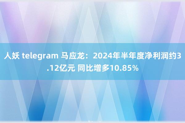 人妖 telegram 马应龙：2024年半年度净利润约3.12亿元 同比增多10.85%