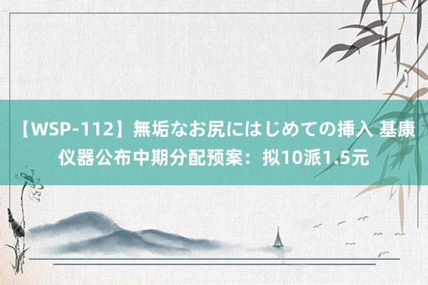 【WSP-112】無垢なお尻にはじめての挿入 基康仪器公布中期分配预案：拟10派1.5元