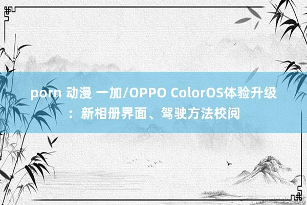 porn 动漫 一加/OPPO ColorOS体验升级：新相册界面、驾驶方法校阅