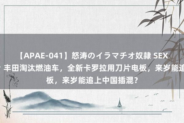 【APAE-041】怒涛のイラマチオ奴隷 SEXコレクション 丰田淘汰燃油车，全新卡罗拉用刀片电板，来岁能追上中国插混？