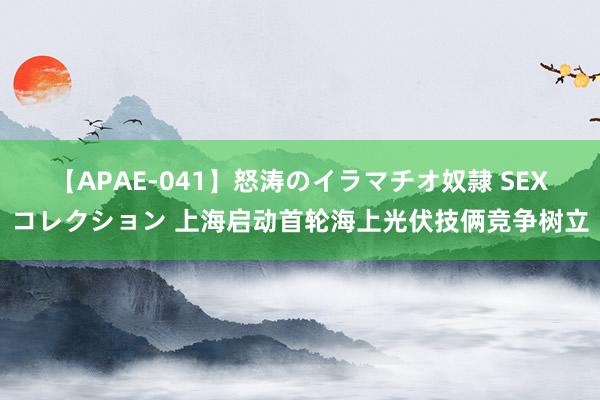 【APAE-041】怒涛のイラマチオ奴隷 SEXコレクション 上海启动首轮海上光伏技俩竞争树立