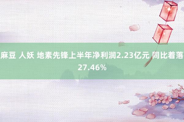 麻豆 人妖 地素先锋上半年净利润2.23亿元 同比着落27.46%